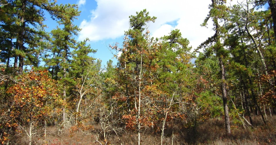 9 Creepy Places to Visit Around Atlantic City