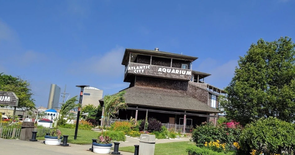 13 Things to Do in Atlantic City, NJ on a Small Budget